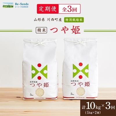 ふるさと納税 川西町 【毎月定期便】山形県産特別栽培米「つや姫」10kg(5kg×2袋)全3回