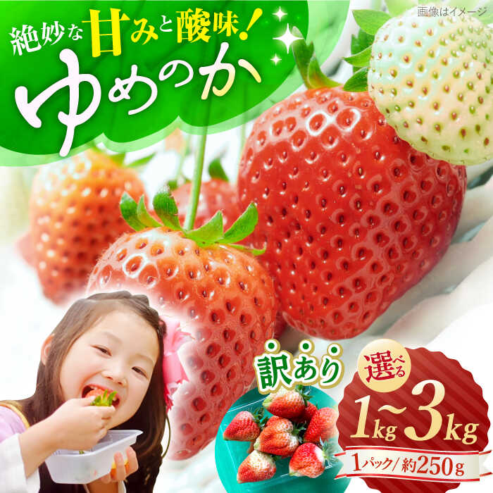 【ふるさと納税】【 訳あり 】【1月より順次発送】ゆめのか 1kg~3kg ＜川原農園＞ [CDR006] いちご イチゴ 苺 果物 フルーツ 甘い ご家庭用 1kg 2kg 3kg 不揃い 規格外
