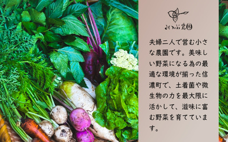 【朝採れ直送】こだわりの土作りが育てた安心野菜セット 厳選8~10品 みつぶ農園 朝採り【季節の旬野菜詰合せ】※７月下旬発送予定