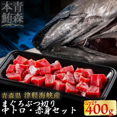 ふるさと納税 むつ市 津軽海峡産マグロ　中トロブツ切・赤身ブツ切セット　各200g