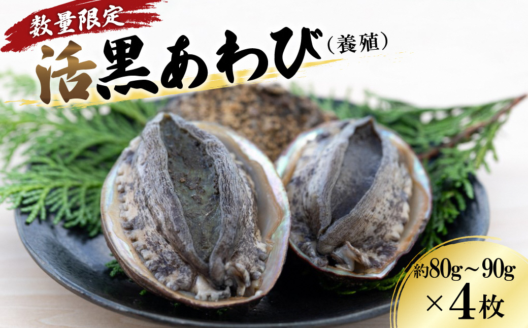 【数量限定】活黒あわび（養殖）NA00002