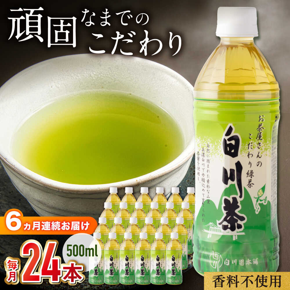 【ふるさと納税】【6回定期便】 白川茶ペットボトル 500ml×24本入 緑茶 お茶 ペットボトル 500ml ケース 白川町 / 白川園本舗[AWAT007]