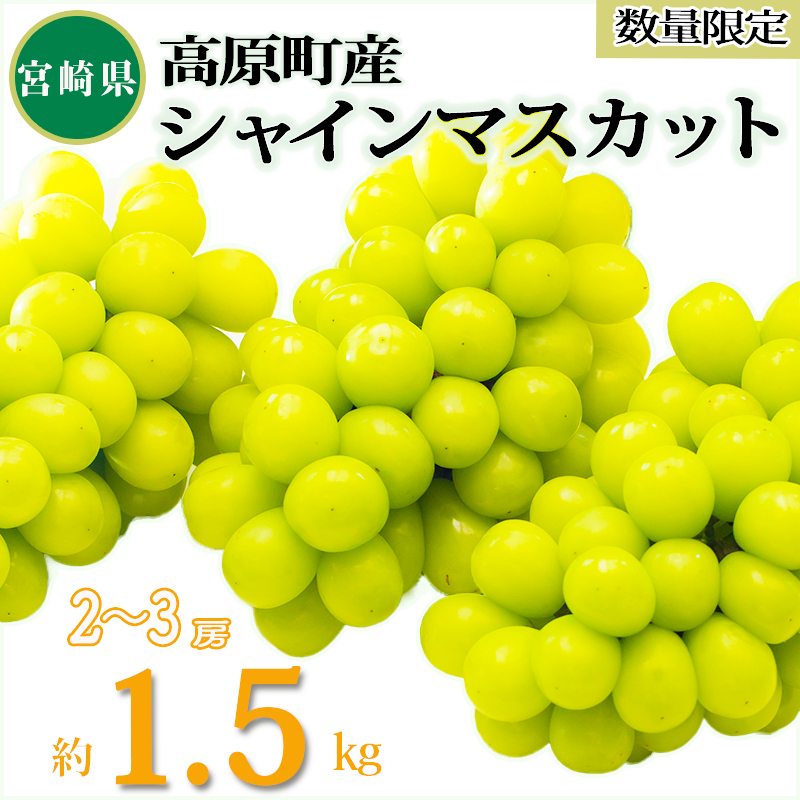 【先行受付】久保ぶどう園のシャインマスカット1.5kg TF0780-P00005