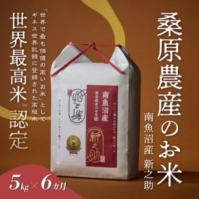 ふるさと納税 南魚沼市 【毎月定期便】ギネス世界記録「世界最高米」認定 最高級南魚沼産新之助5kg 桑原農産のお米全6回