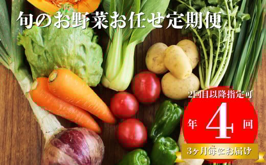 
            【年4回】高知から直送！旬の季節のお野菜定期便（7~9品）2回目以降着日指定可能 産地直送 旬の時期にお届け
          