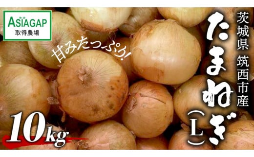 ASIAGAP認証農場 の たまねぎ 10kg ( Lサイズ ) 令和7年産 先行予約 玉ねぎ 玉葱 タマネギ 有機栽培 野菜 ASIAGAP [DD004ci]