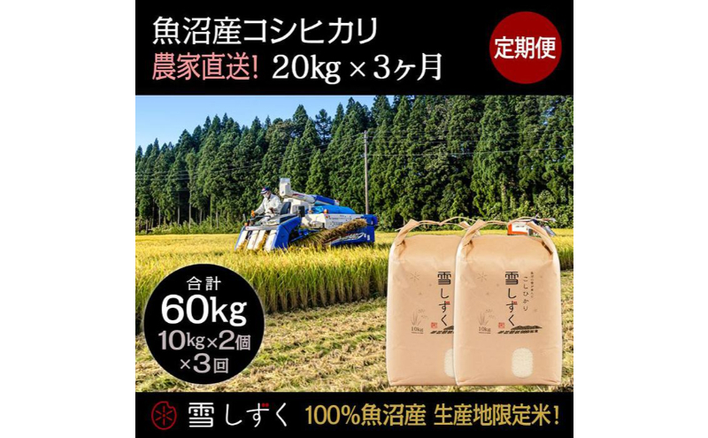 
                  【令和7年産】定期便！魚沼産コシヒカリ【合計60kg】毎月20kg×3回 お米 ブランド米 銘柄米 精米 白米 ご飯 おにぎり お弁当 和食 産地直送 
                