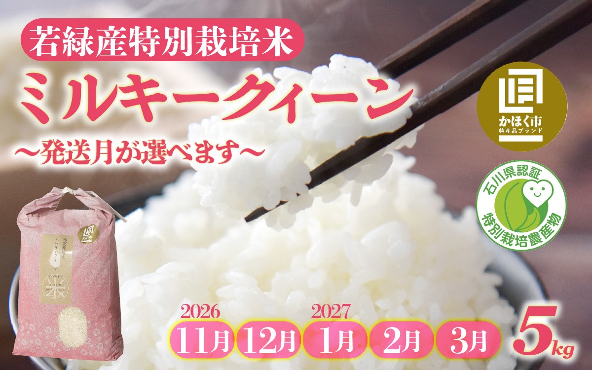
                  【先行予約 令和8年産】【発送月が選べる】若緑産 特別栽培米「ミルキークィーン」【2026年11月より順次発送】/ 令和8年産 新米 白米 精米 こめ コメ ご飯 ごはん おすすめ もちもち 食感 国産 5kg 送料無料
                