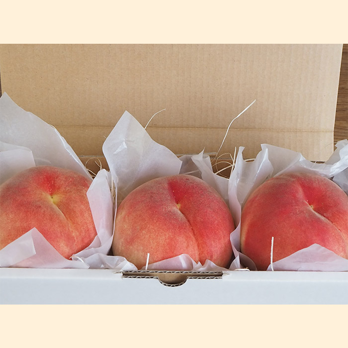 【定期便6回】★食べきりシリーズ★やまもりやまがたプレ