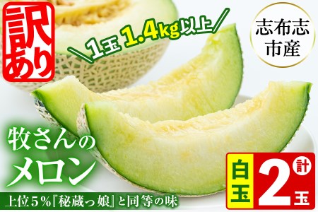 【冬限定・数量限定】牧さんの訳ありメロン 白玉(青肉)計2玉 メロン マスクメロン 果物 くだもの デザート 青肉 訳あり b0-106-w