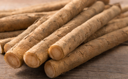 十勝 幕別町産 ごぼう5kg (ML混合) 渡邉農場 [2026年11月出荷開始]【 野菜 根菜 ごぼう ゴボウ 牛蒡 北海道 十勝 幕別 】