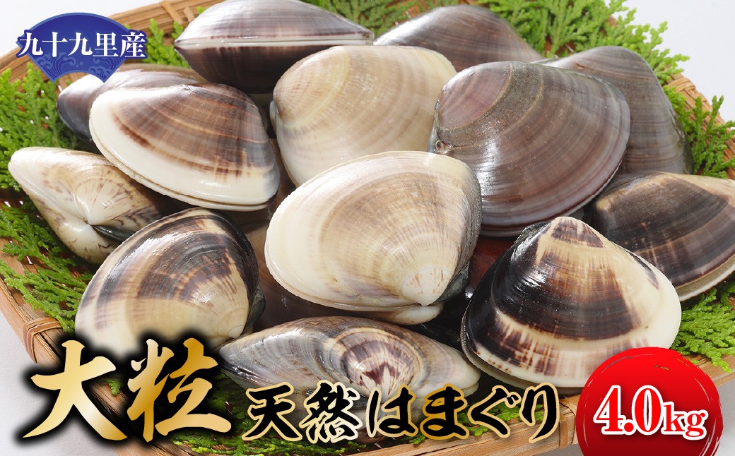 
                  【お試し特産品つき】九十九里産 大粒 天然はまぐり4.0kg ふるさと納税 はまぐり ハマグリ 蛤 4.0kg 特産品 天然 千葉県 九十九里産 砂ぬき 送料無料 焼きはま 網焼き 酒蒸し お吸い物 お祝い パエリア 和食 活はまぐり 川喜屋水産蛤 天然 節句 ひな祭り ひなまつり 手土産 送料無料 SHF003
                