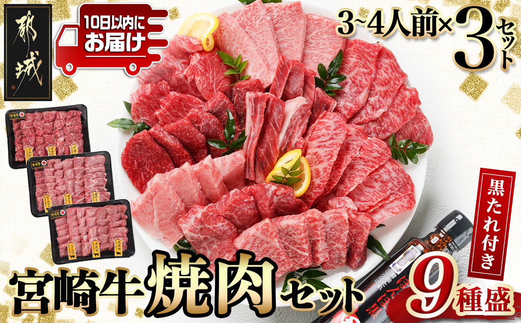 
【数量限定】宮崎牛9種盛り焼肉セット(各600g×3P)≪みやこんじょ特急便≫_MM-3101-Q_(都城市) 宮崎牛 ラムシン マルシン イチボ サーロイン ザブトン 肩ロース ショートリブ カルビ 内モモ ギフト 贈答用
