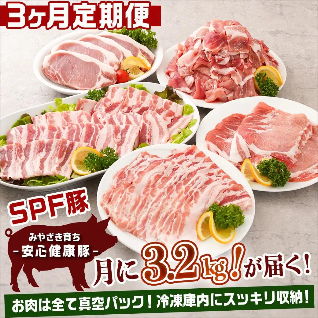 ≪3回連続お届け≫「宮崎SPF豚」日替わりバラエティセット定期便〔T48-3-K901〕_(都城市) 宮崎県産豚 小間切れ ロース 肩ローススライス バラ ステーキ 焼肉 しゃぶしゃぶ 真空