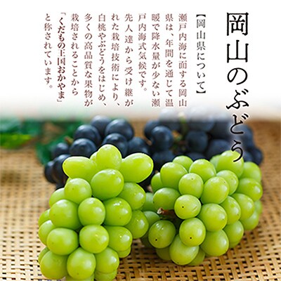 【先行受付】岡山県産マスカットオブアレキサンドリア1房(秀品以上・700g以上)化粧箱入り【配送不可地域：離島・北海道・沖縄県】