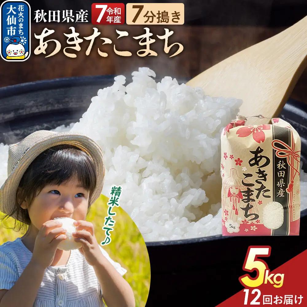 《定期便12ヶ月》【7分搗き】あきたこまち 5kg 秋田県産 令和7年産 こまちライン 秋田県 大仙市産
