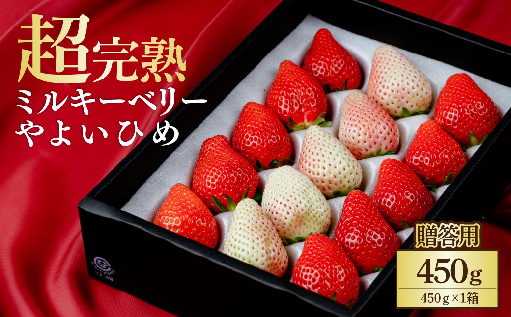 
                  【先行受付：選べる発送月】いちご 鈴木ファーム ギフト やよいひめ×ミルキーベリー 450g ×1箱 | いちご イチゴ 苺 やよいひめ ミルキーベリー 完熟 甘い あまい 果物 フルーツ 鈴木ファーム 栃木県 茂木町
                