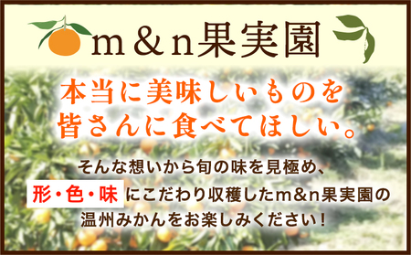 【先行予約】早生みかん(田口早生) 約5kg《11月中旬～12月末頃より出荷予定(土日祝除く)》ｍ＆ｎ果実園 和歌山県 紀の川市 送料無料 蜜柑 柑橘 果物 フルーツ 温州みかん 早生みかん 田口早生