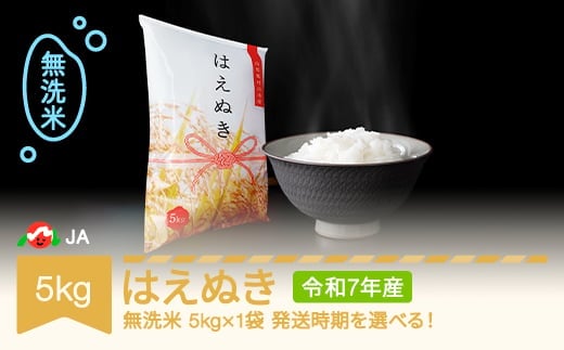 米 5kg はえぬき 無洗米 令和7年産 2026年4月中旬 ja-hamxa5-s4b