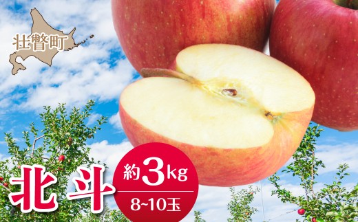 【先行予約】北海道壮瞥町産りんご「北斗」約3kg(8～10玉)＜2026年11月中旬よりお届け＞【ふるさと納税 人気 おすすめ ランキング りんご リンゴ 林檎 ほくと 甘い 蜜入り ジュース 酢 送料無料】 SBTF022