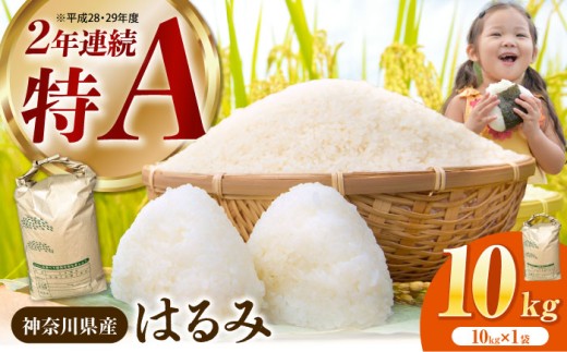 【令和7年産】はるみ 白米 10kg 1袋 【井上農園】 米 お米 白米 米 精米 白米 はくまい こめ はるみ 精米 ブランド米 国産 おこめ 精米 R7 ご飯 ごはん 神奈川県 開成町産 【特Aランク受賞実績あり！】 [BDBB003]