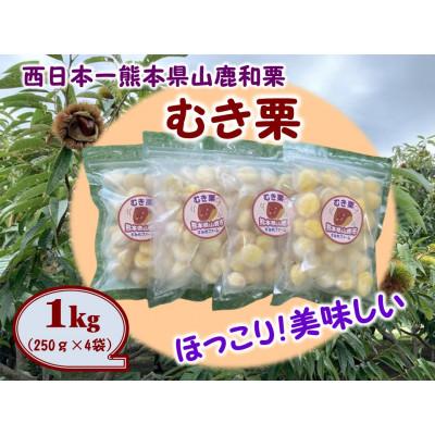 ふるさと納税 山鹿市 熊本県山鹿和栗【冷凍むき栗】(1kg)