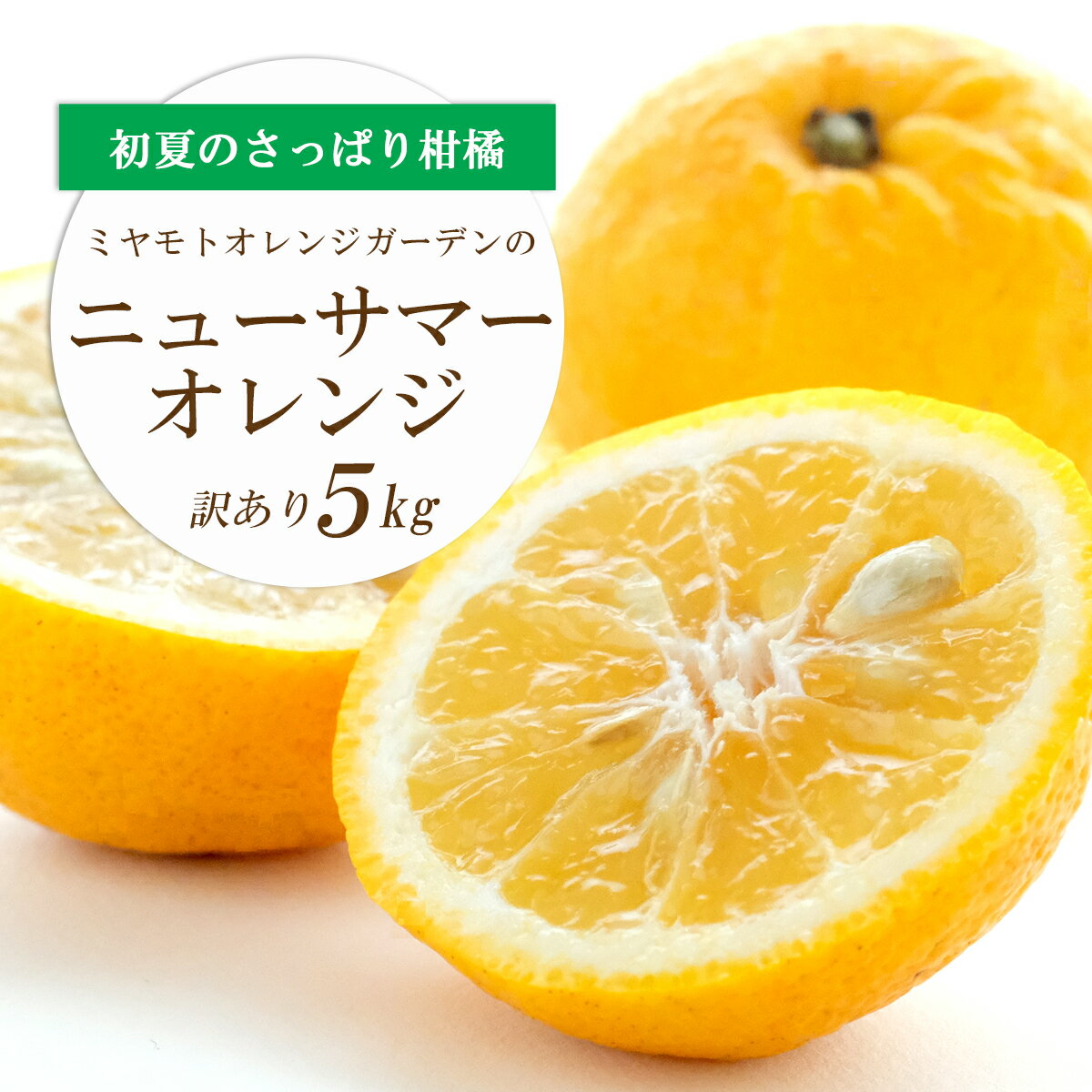 【ふるさと納税】ワタまでおいしい ニューサマーオレンジ5kg(訳あり)【E25-140】_【1268369】
