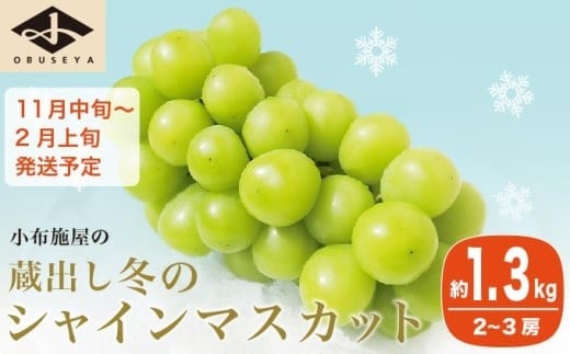 蔵出し冬のシャインマスカット 約1.3kg 2〜3房 ［小布施屋 ］長野県 ぶどう フルーツ 果物 冷蔵便 クール便 令和7年産【2025年11月中旬～2026年2月発送】［B-503］