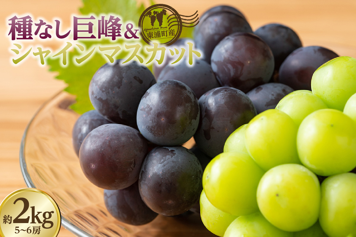 【先行予約】東浦町産 種なし巨峰＆シャインマスカット詰め合わせ　約2kg（5～6房）