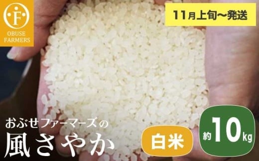 風さやか 白米  約10kg ［ おぶせファーマーズ ］ お米 コメ おこめ ご飯 精米 長野県産 【2025年11月上旬～発送】 ［FK-18］