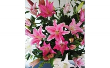 X-7 オリエンタルユリ　花束(１０回発送)ユリ ゆり 花 はな 切り花 きりばな つぼみ　花束 贈り物 ギフト