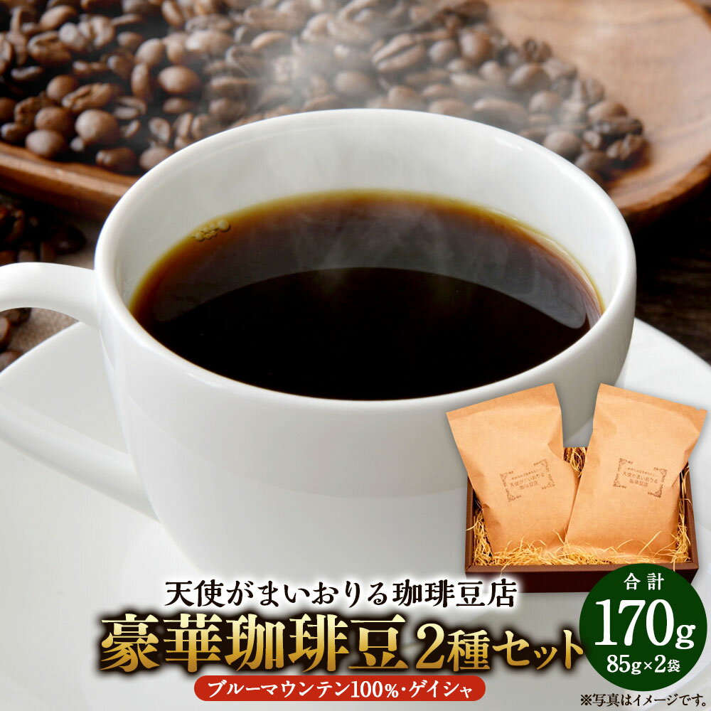 【ふるさと納税】豪華珈琲豆 2種 セット ブルーマウンテン ゲイシャ 2袋 コーヒー 珈琲 コーヒー豆 豆 珈琲豆 焙煎 福岡県 苅田町 送料無料