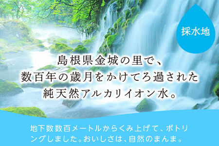 純天然アルカリイオン水 金城の華 500ml 24本入×2箱 水 ミネラルウォーター 【043_1835】