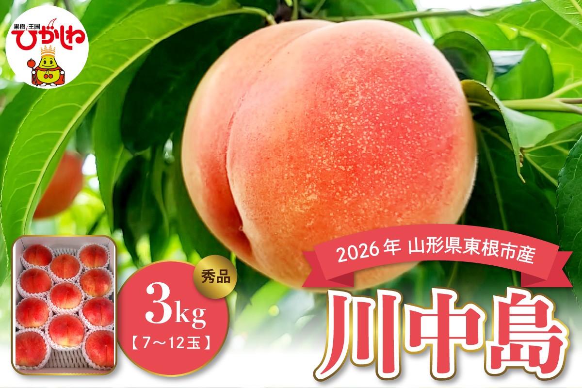 
                  【2026年産】白桃 川中島 3kg 山形県 東根市 みのる果樹園提供 hi063-005-r8
                