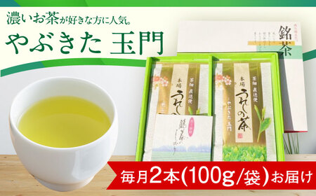 【6回定期便】一番摘み茶葉使用 うれしの茶 2本入（やぶきた 玉門 100g×2本） /お茶の深香園[UAF008] お茶 茶 嬉野茶 うれしの茶 緑茶 煎茶 一番摘み茶 お茶飲料 国産茶 佐賀のお茶