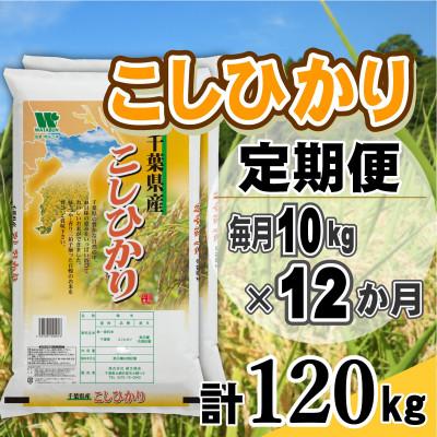 ふるさと納税 大網白里市 【毎月定期便】コシヒカリ 精米 10kg (5kg×2袋)全12回
