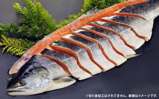 【 7日程度で発送 】 定置網漁法 【 道東産 】 船上活〆トキシラズ 2枚卸姿身 2.5kg 甘塩 時鮭 鮭 さけ サケ シャケ 魚 魚類 魚介 魚介類 おつまみ おかず お惣菜 惣菜 酒の肴 姿身