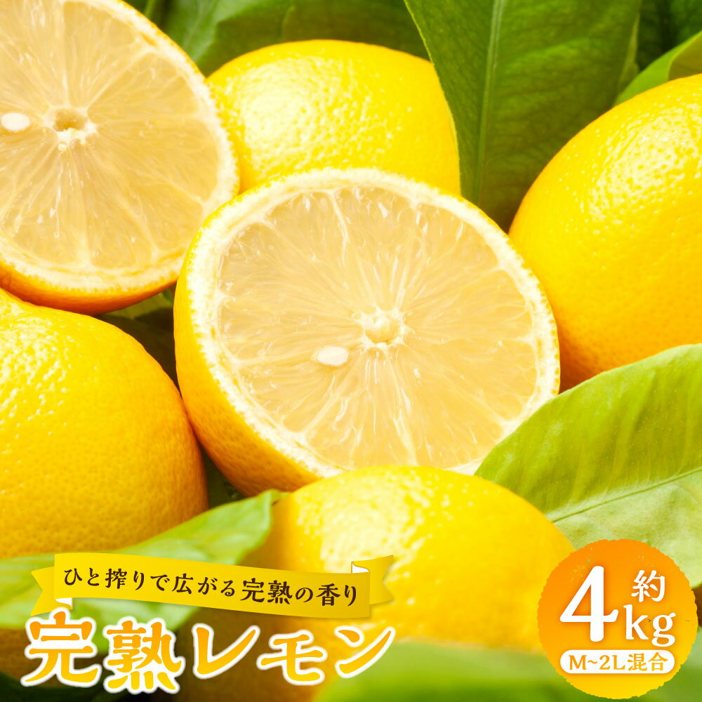 【ふるさと納税】【ひと搾りで広がる完熟の香り】完熟レモン 約4kg M～2L混合 レモン れもん 檸檬 柑橘 かんきつ フルーツ くだもの 果物 果実 料理 愛媛県産 国産 愛媛県 送料無料 【2027年1月上旬～4月下旬発送予定】 （1043）