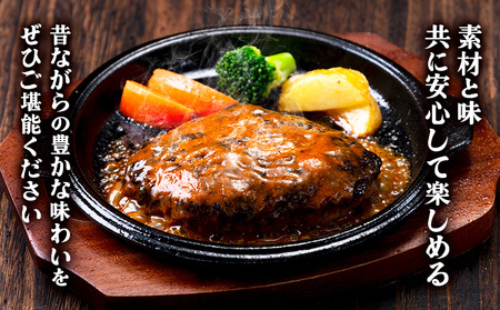 デミグラスソース ハンバーグ 200g×5 計1kg キッチンふじ 冷凍 《60日以内に出荷予定(土日祝除く)》ジューシー 肉 牛肉 熊本県御船町 惣菜 お弁当 加工食品