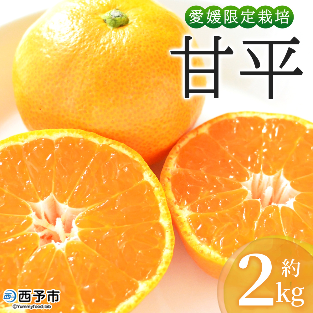 ＜おはこやがつくる 甘平 約2kg（L～3Lサイズ）＞ 果物 フルーツ 柑橘類 かんぺい カンペイ オレンジ みかん ミカン サイズ混合 おいしい 甘い 愛媛限定栽培 特産品 産地直送 西宇和 愛媛県 西予市