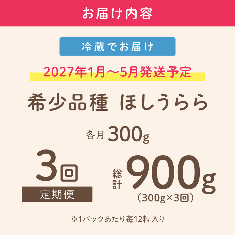 【2027年1月～5月発送予定】【糖度12〜15度の希少品種】いちご ほしうらら 約300g（約300g×1パック×1箱）3ヶ月定期便 ※お届け不可地域あり【121D-005-2027】