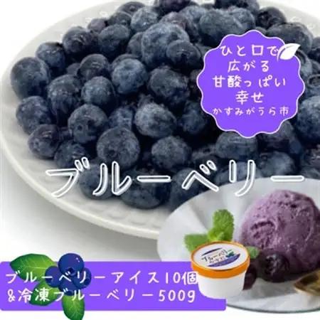 『ブルーベリーやすだ』の濃厚ブルーベリーアイス10個　＆　冷凍ブルーベリー500gのセット_菓子・スイーツ アイス・ジェラート    果物・フルーツ ブルーベリー  _【配送不可地域：離島】【1452