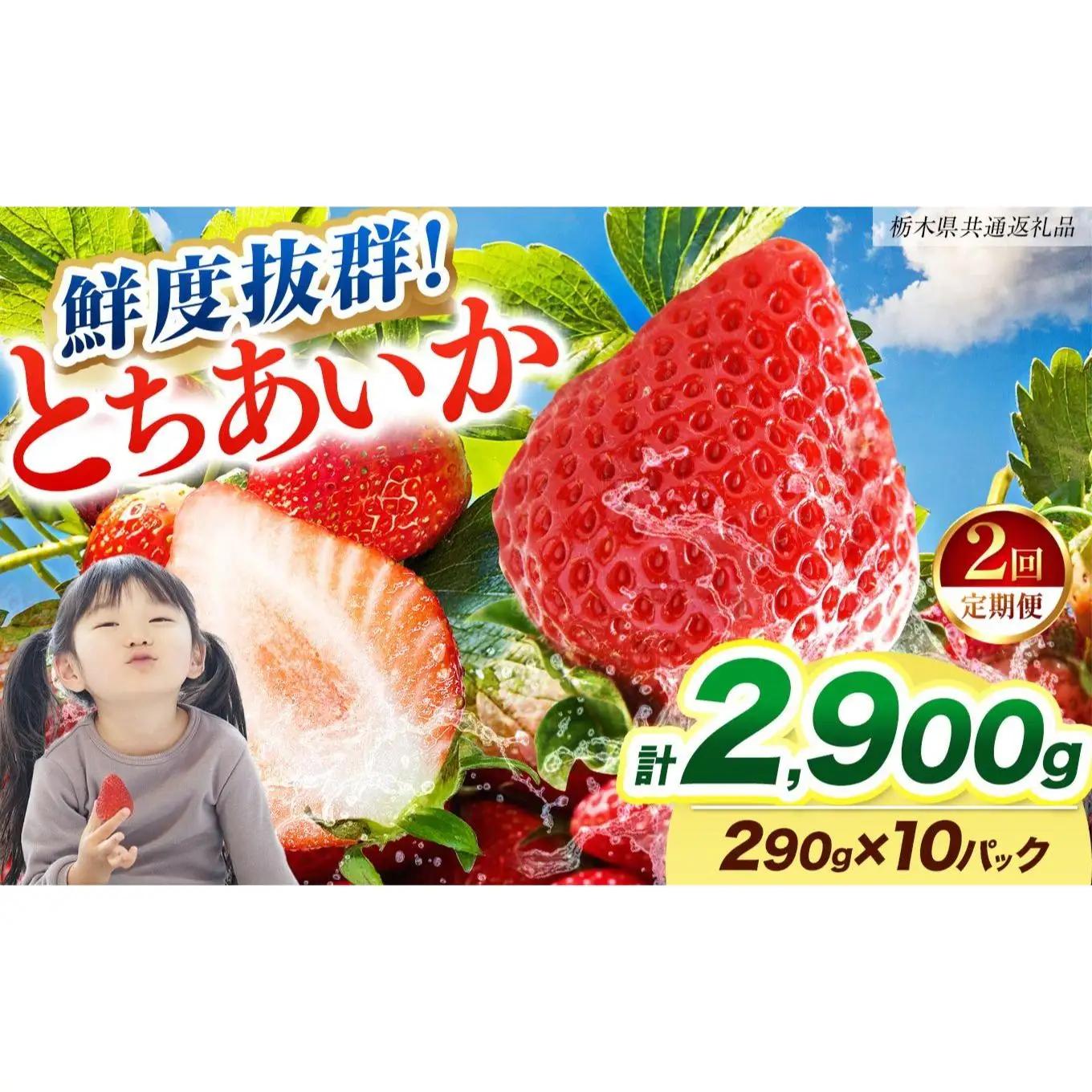  【2027年先行予約】〔定期便2回〕鮮度抜群 いちご とちあいか 290g×10P【栃木県共通返礼品】