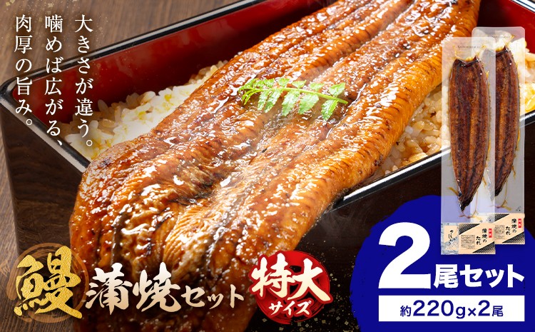 
                  ＼特大サイズ／ 鹿児島県産 鰻蒲焼真空セット！2尾  タレ・山椒付！ 株式会社薩摩川内鰻 《30日以内に出荷予定(土日祝除く)》  鹿児島県 さつま町 送料無料 ウナギ 丑の日 うなぎ 刻み グルメ 特大 鰻 蒲焼 真空
                