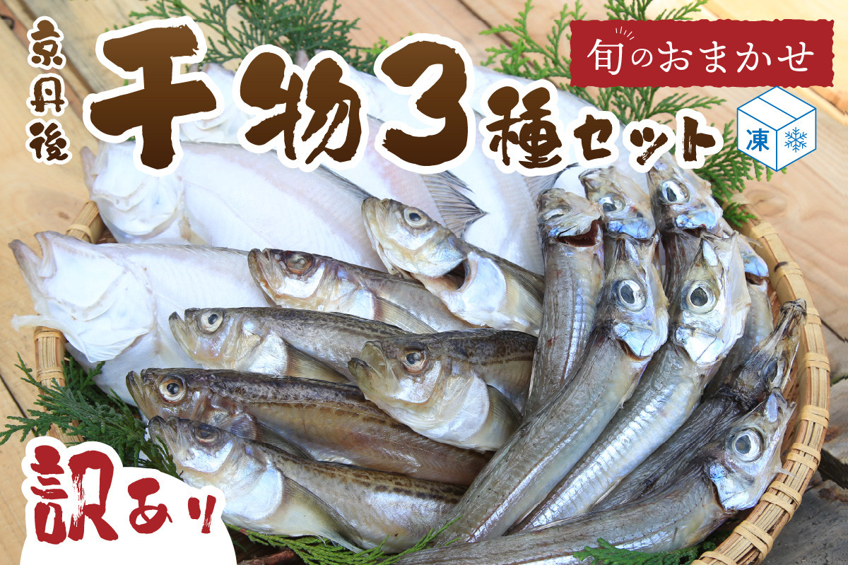 
            訳あり 干物／京都・京丹後の地元魚屋が作ったお任せ 干物 セット（冷凍） 3種＜不揃い・わけあり品＞国産・日本海産・干物 詰め合わせ 一夜干し　TB00024
          