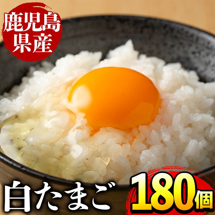【ふるさと納税】鹿児島県産の白たまご180個(Mサイズ) 業務用 国産 九州産 生卵 卵 たまご 鶏卵 鶏 M玉 TKG 卵焼き 食品 【マルイ食品】