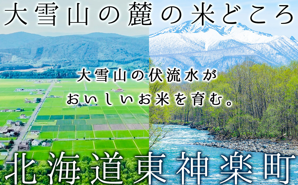 【令和7産】【10営業日以内発送】ななつぼし 普通精米　5kg