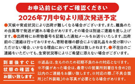 【 2026年 先行予約 】 ≪ ご家庭用 ≫ 東マンゴー園 直送 ！ 完熟 アップルマンゴー 2kg （ 4～6 玉 ） W014-010u 訳あり わけあり 果物 マンゴー