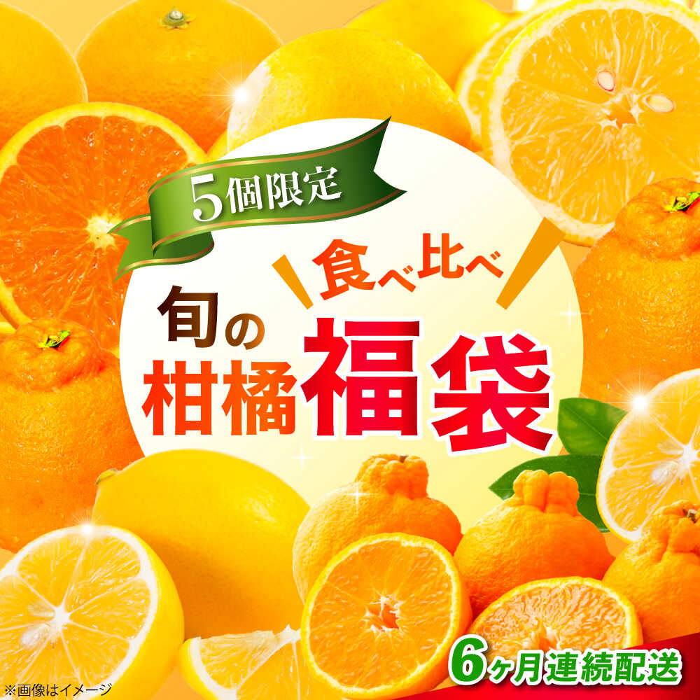 【ふるさと納税】【全6回定期便】江田島市から旬の柑橘類をお届け！お楽しみ福袋 みかん フルーツ 果物 数量限定 期間限定 江田島市/江田島市観光協会[XAI009] みかん ミカン オレンジ 柑橘 くだもの 果物 フルーツ 定期便 れもん 檸檬 レモン 温州みかん ぽんかん 甘夏