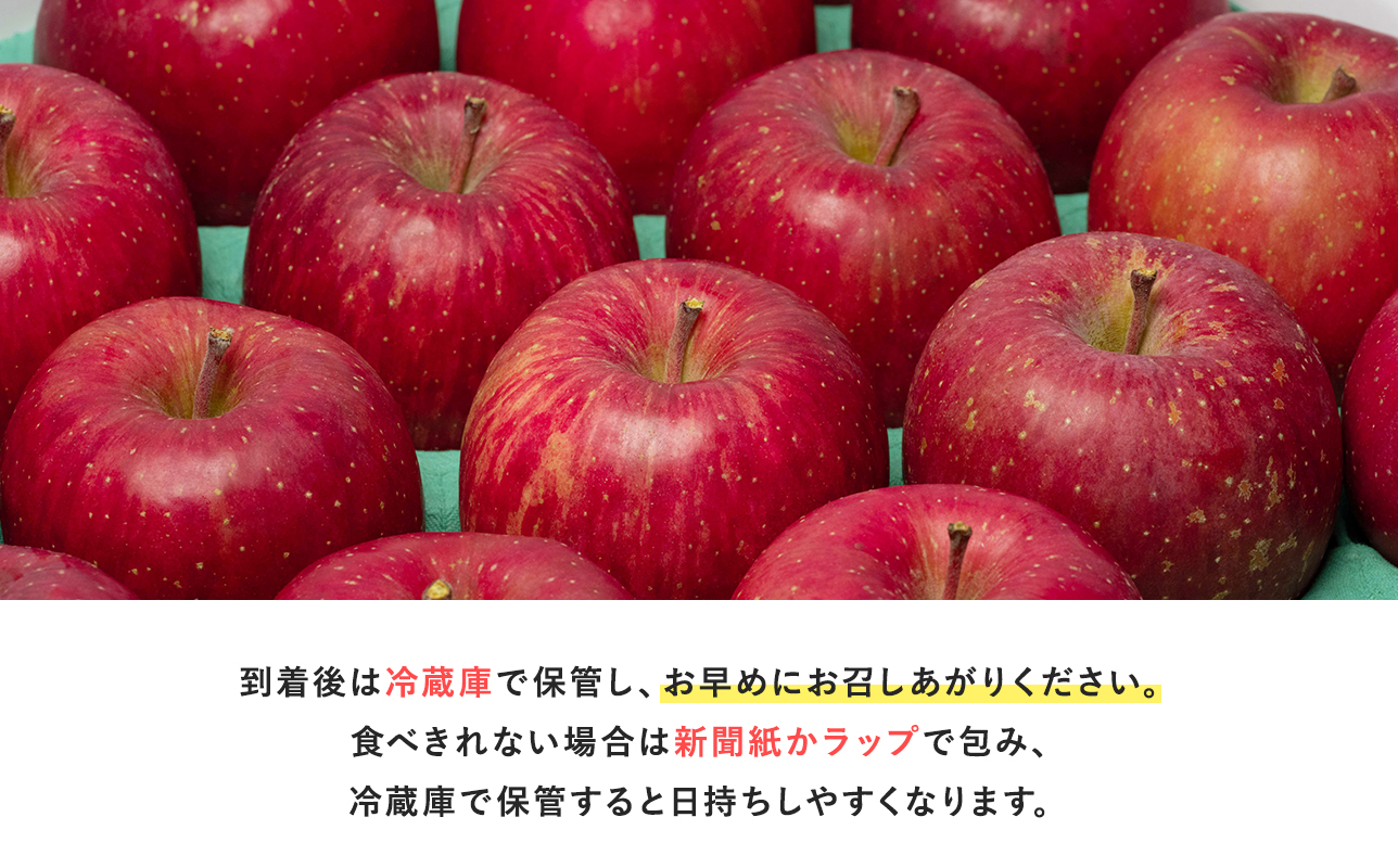 【1~2月】青森県産 贈答規格 広船のサンふじ 約5kg「特A」【広船アップルクラブ】サンふじ ふじ 広船 年明け 青森 青森県産 平川 りんご リンゴ 林檎 くだもの 果物 フルーツ【hi-0004